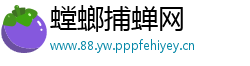 螳螂捕蝉网